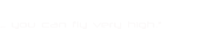 Stef Service logo